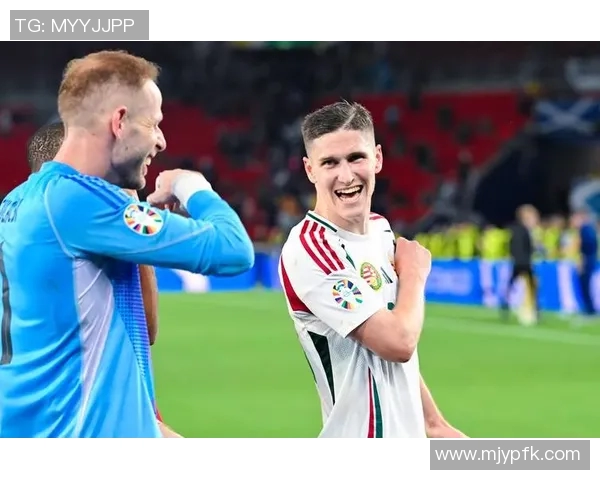 匈牙利与冰岛附加赛激战在即谁能晋级欧洲杯决赛圈