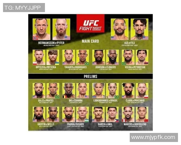 全面解析UFC各大量级划分及其对选手发展的影响与意义