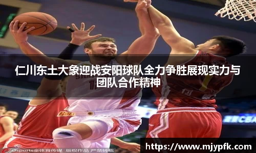 仁川东土大象迎战安阳球队全力争胜展现实力与团队合作精神